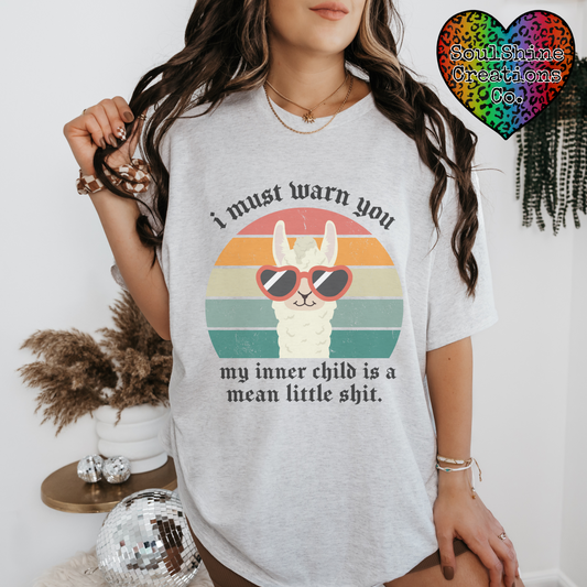 I must warn you my Inner Child is a Mean little Shit Tee Shirt
