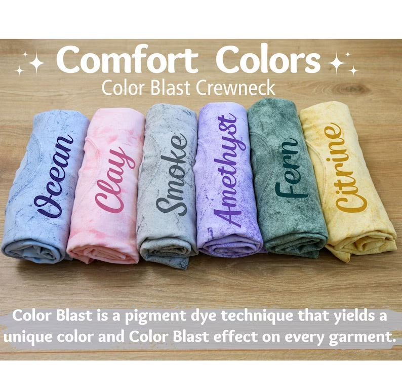 Small Business Owner Comfort Colors Color Blast Tee