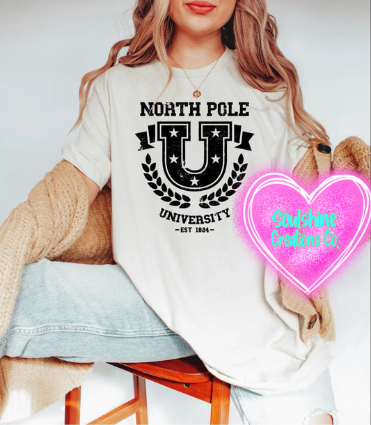 North Pole University